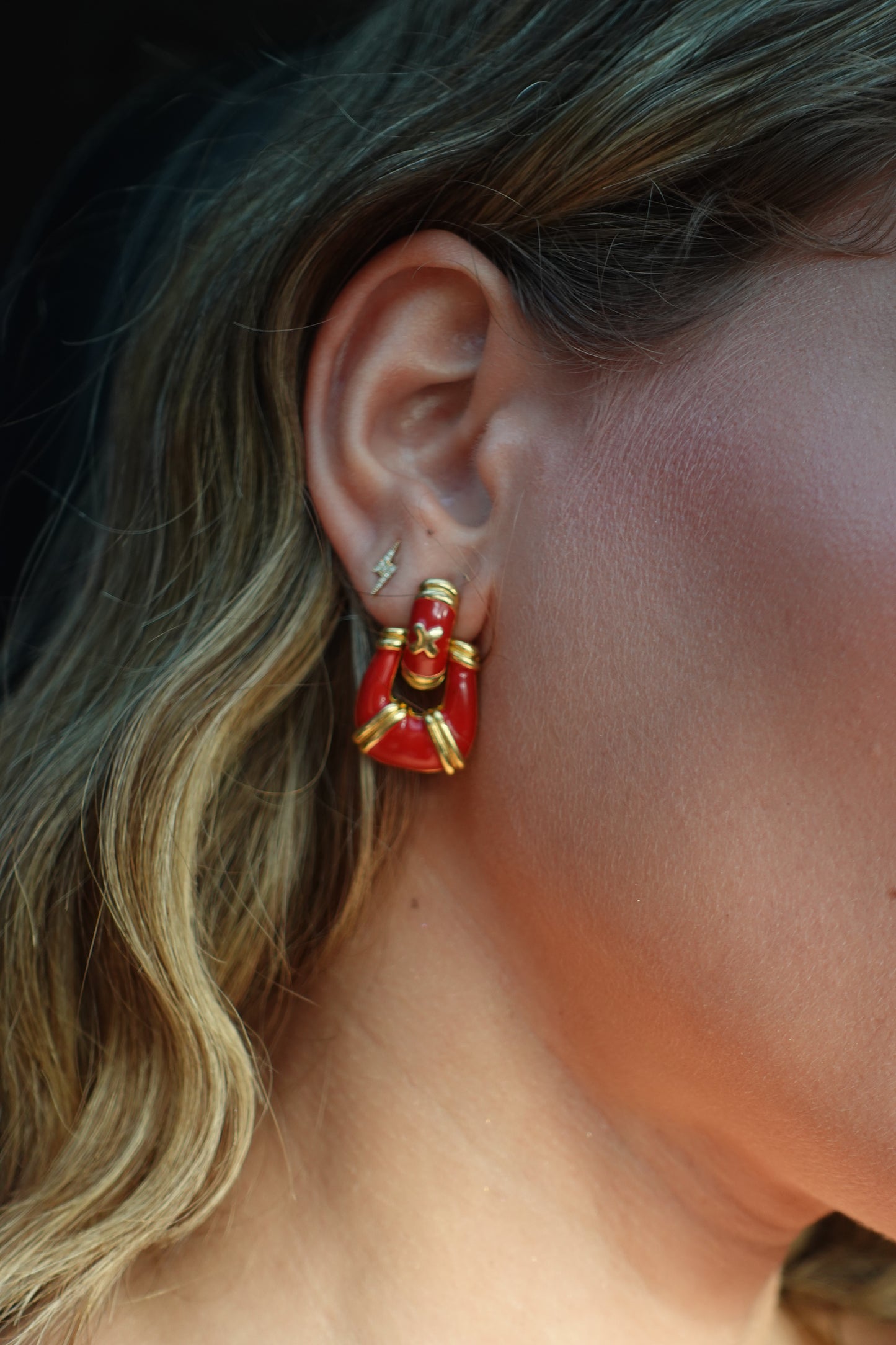 ROUGE EARRINGS